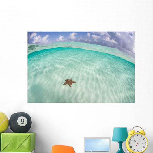 West Indian Starfish Seafloor Wall Decal Design 6