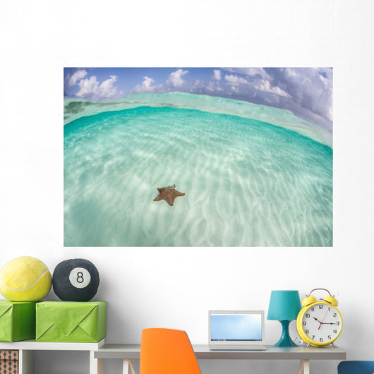 West Indian Starfish Seafloor Wall Decal Design 6
