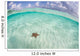 West Indian Starfish Seafloor Wall Decal Design 6