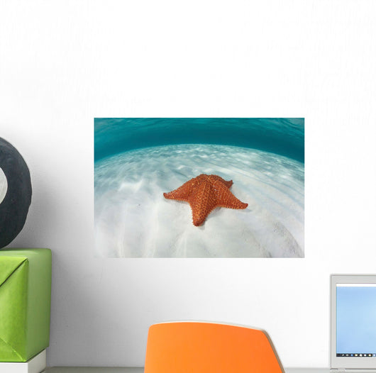 West Indian Starfish Seafloor Wall Decal Design 5