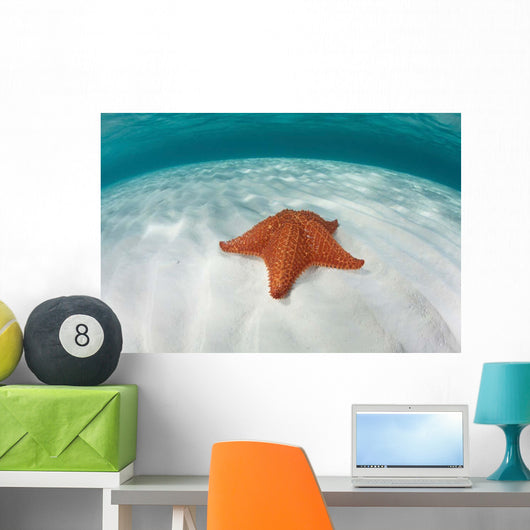 West Indian Starfish Seafloor Wall Decal Design 5