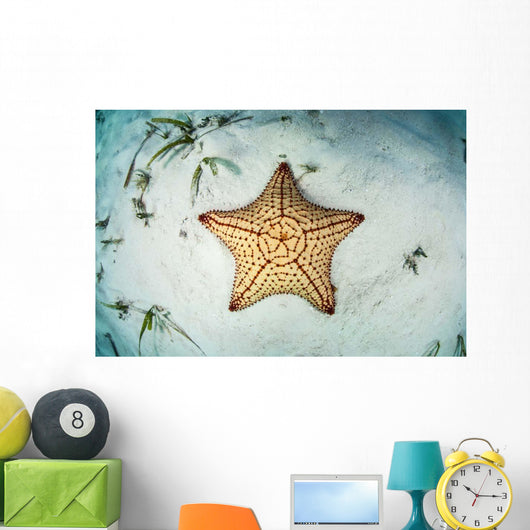 West Indian Starfish Seafloor Wall Decal Design 3