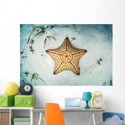 West Indian Starfish Seafloor Wall Decal Design 3