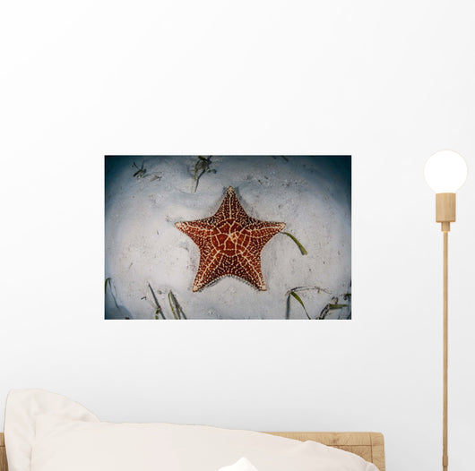 West Indian Starfish Seafloor Wall Decal Design 1