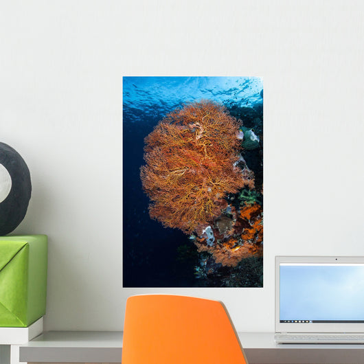 Colorful Gorgonian Grows Reef Wall Decal