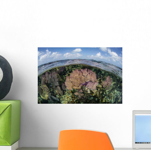 Gorgonians and Reef-building Corals Wall Decal Design 3