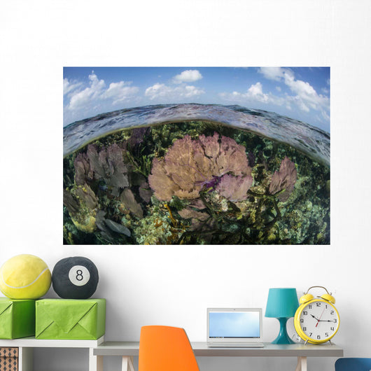 Gorgonians and Reef-building Corals Wall Decal Design 3