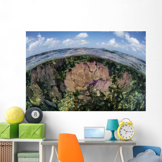 Gorgonians and Reef-building Corals Wall Decal Design 3