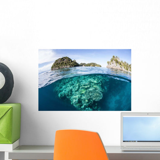 Beautiful Coral Reef Grows Wall Decal Design 2