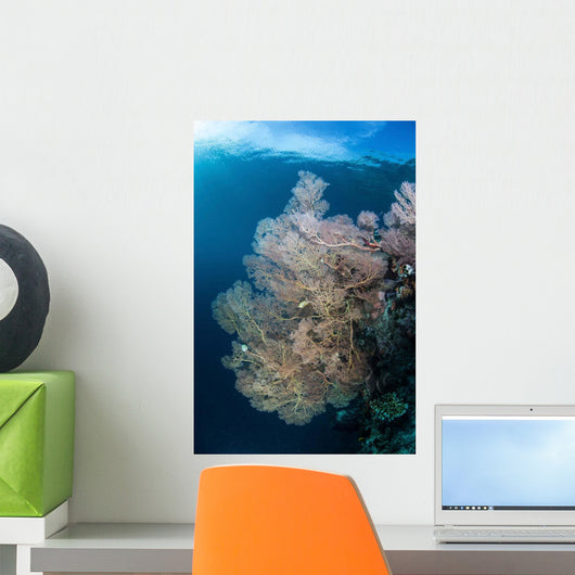 Sunlight Illuminates Large Gorgonian Wall Decal Design 1