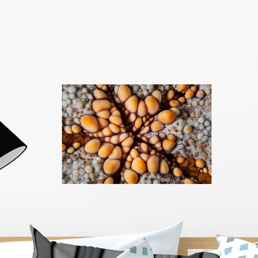 Detail Pin Cushion Starfish Wall Decal