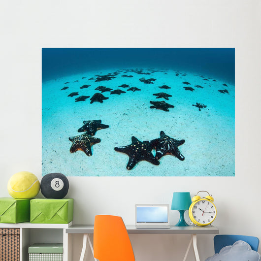 Starfish Cover Sandy Seafloor Wall Decal