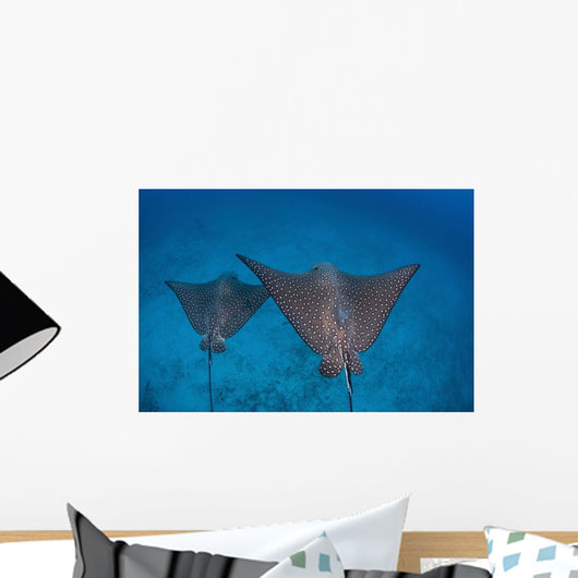 Spotted Eagle Rays Swim Wall Decal Design 4