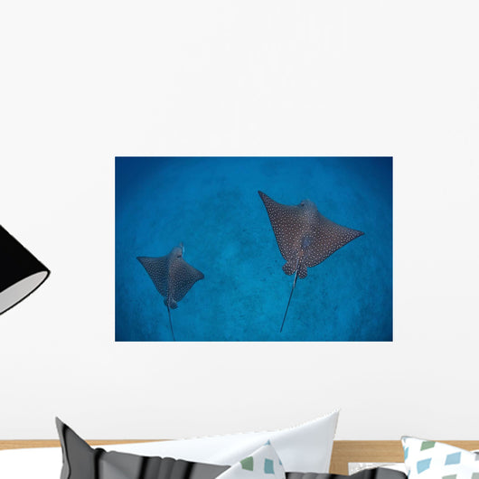 Spotted Eagle Rays Swim Wall Decal Design 3