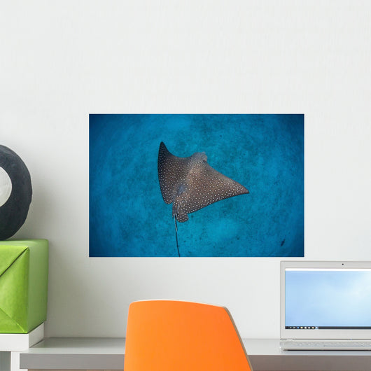 Spotted Eagle Ray Swims Wall Decal Design 1