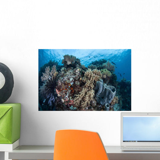Reef-building Corals Raja Ampat Wall Decal Design 1