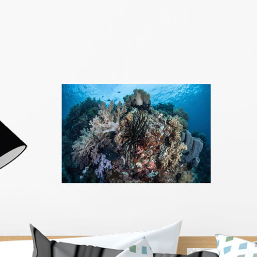 Diverse Array Invertebrates Cover Wall Decal Design 2