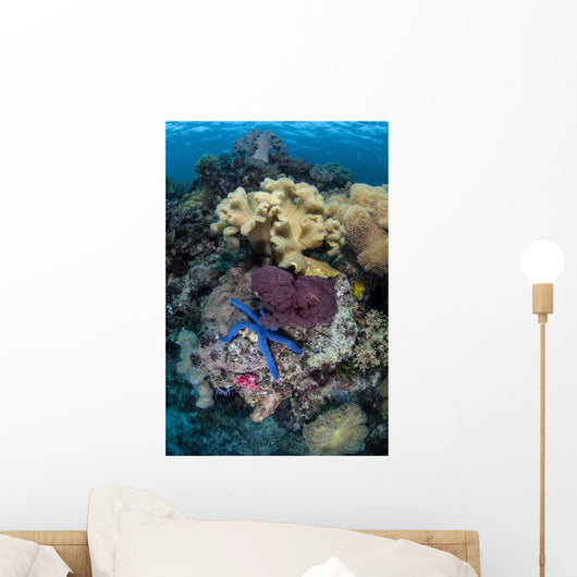 Diverse Array Invertebrates Cover Wall Decal Design 1