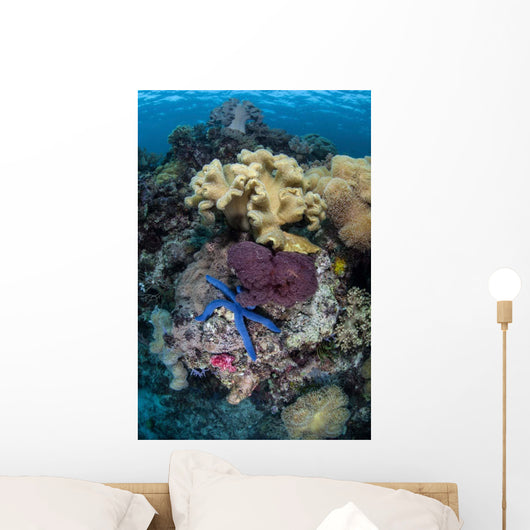 Diverse Array Invertebrates Cover Wall Decal Design 1