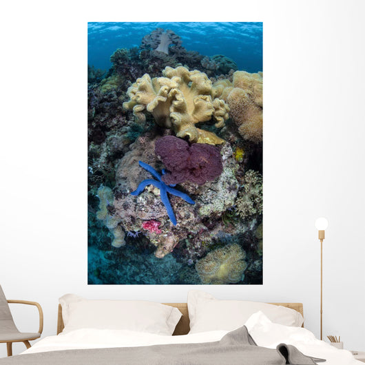 Diverse Array Invertebrates Cover Wall Decal Design 1