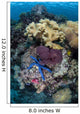 Diverse Array Invertebrates Cover Wall Decal Design 1