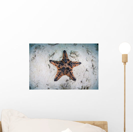 Colorful Chocolate Chip Sea Wall Decal Design 2