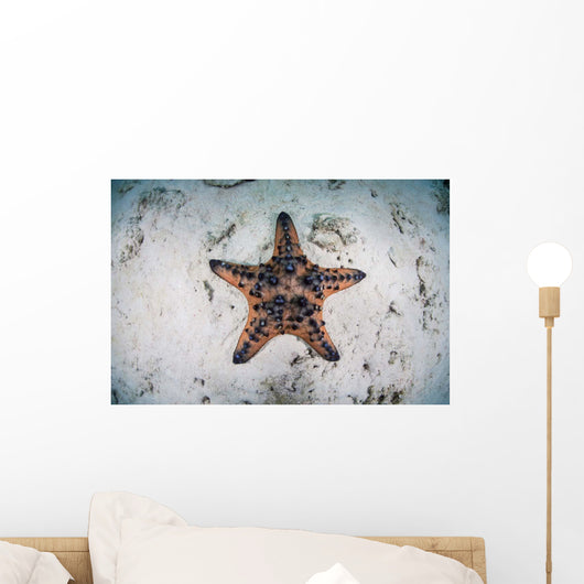 Colorful Chocolate Chip Sea Wall Decal Design 2