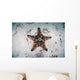 Colorful Chocolate Chip Sea Wall Decal Design 2