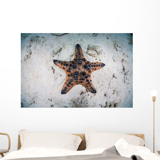 Colorful Chocolate Chip Sea Wall Decal Design 2