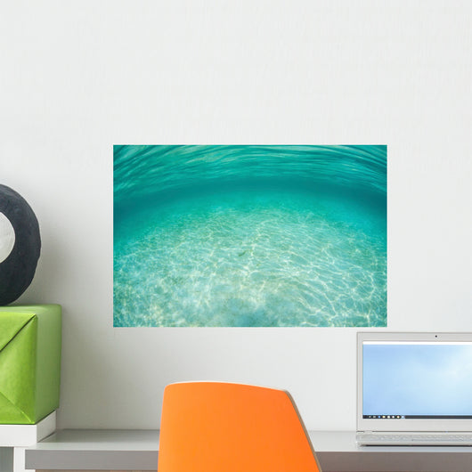 Sunlight Ripples across Shallow Wall Decal Design 4