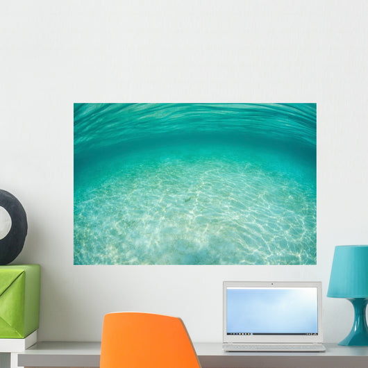 Sunlight Ripples across Shallow Wall Decal Design 4
