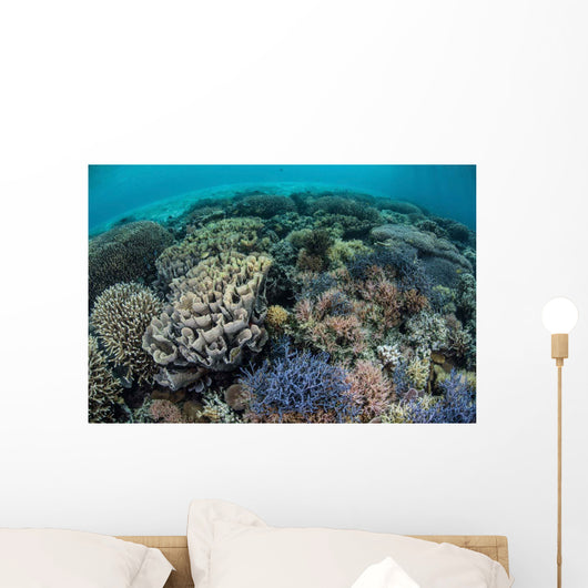 Colorful Corals near Island Wall Decal