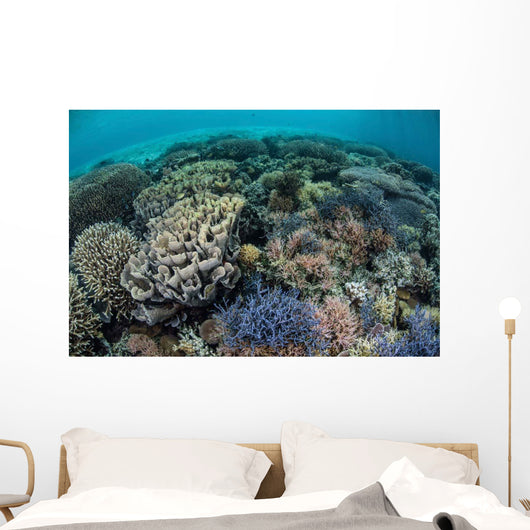Colorful Corals near Island Wall Decal