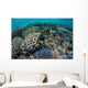 Colorful Corals near Island Wall Decal