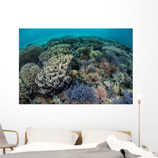 Colorful Corals near Island Wall Decal