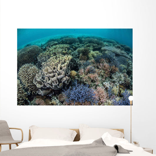 Colorful Corals near Island Wall Decal