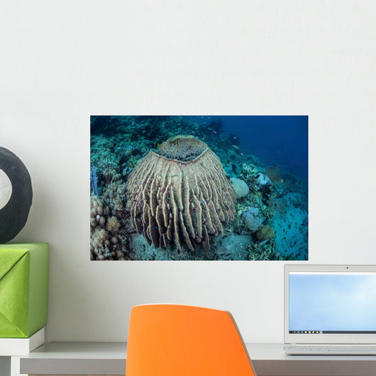 Massive Barrel Sponge Grows Wall Decal Design 1