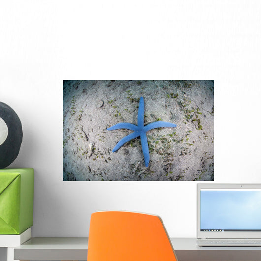 Blue Starfish Sandy Seafloor Wall Decal