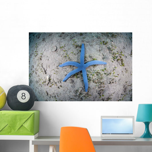 Blue Starfish Sandy Seafloor Wall Decal