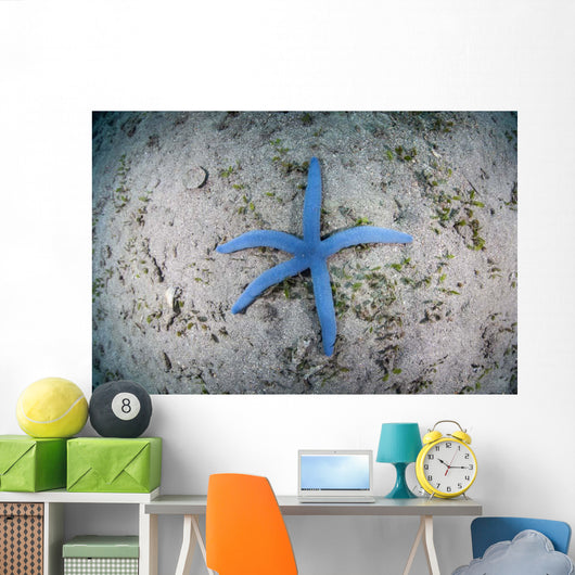 Blue Starfish Sandy Seafloor Wall Decal