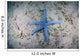 Blue Starfish Sandy Seafloor Wall Decal