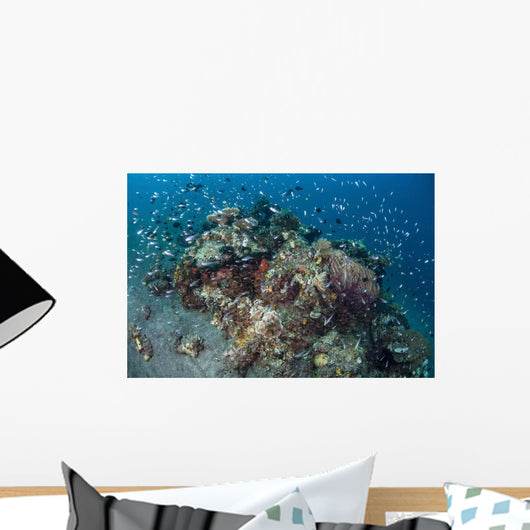 Cardinalfish Surround Beautiful Coral Wall Decal