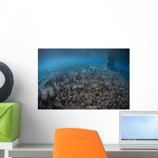 Mangrove Roots Rise from Wall Decal Design 3