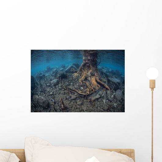 Mangrove Roots Rise from Wall Decal Design 1