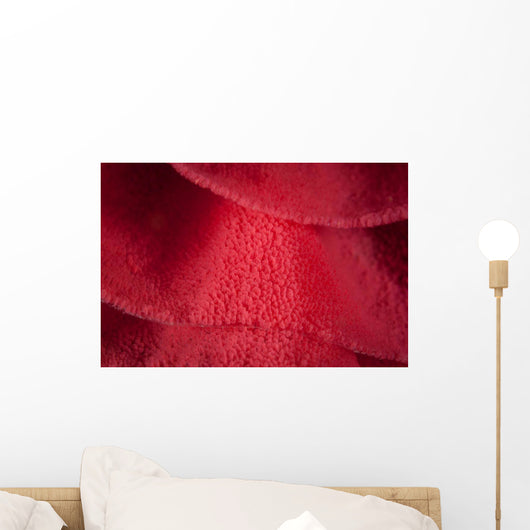 Detail Ribbon Spanish Dancer Wall Decal