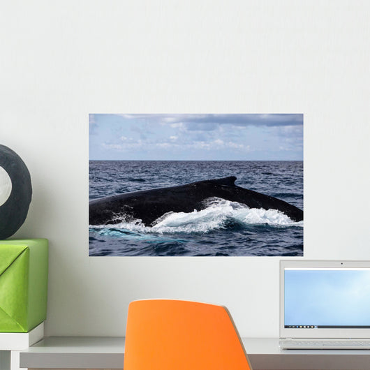 Large Humpback Whale Swims Wall Decal