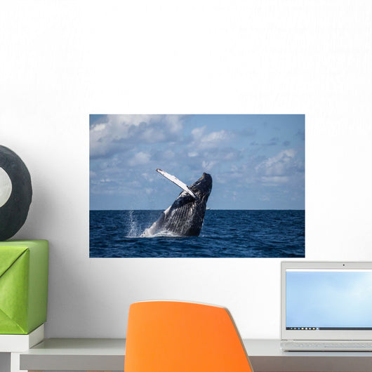Large Humpback Whale Breaches Wall Decal