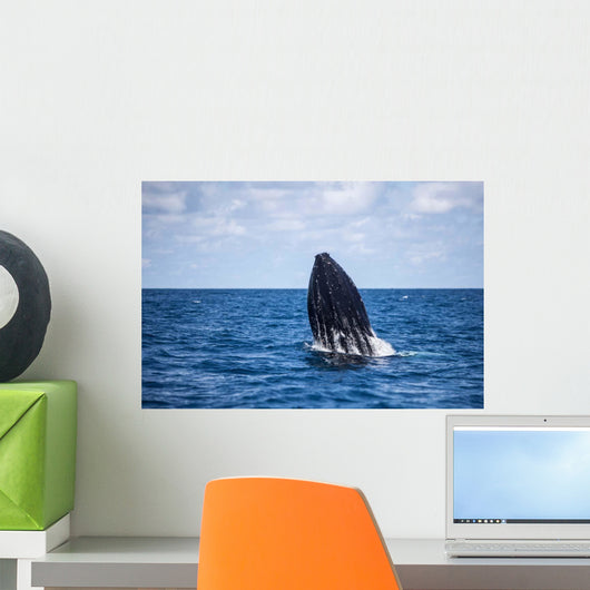 Humpback Whale Begins to Wall Decal Design 1
