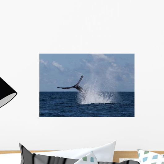Humpback Whale Slaps Its Wall Decal Design 3