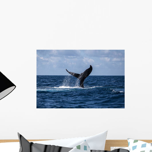 Humpback Whale Slaps Its Wall Decal Design 1
